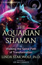 The Aquarian Shaman Walking the Spiral Path of Transformation cover image