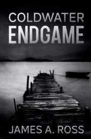 Coldwater Endgame A Coldwater Mystery cover image