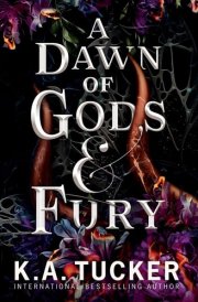 A Dawn of Gods and Fury cover image