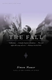 The Fall A Novel cover image