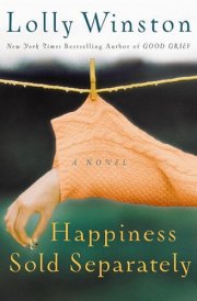 Happiness Sold Separately A Novel cover image