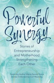 Powerful Synergy Stories of Entrepreneurship and Motherhood Strengthening Each Other cover image