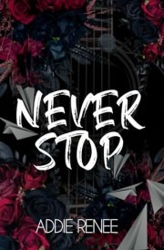 Never Stop (The Never Series) cover image