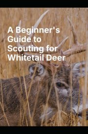 A Beginner's Guide to Scouting for Whitetail Deer cover image