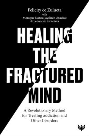 Healing the Fractured Mind An Introduction to Traumatic Attachment Induction Procedure cover image