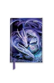 Anne Stokes: Welcome Hatchling 2025 Luxury Pocket Diary Planner - Week to View cover image