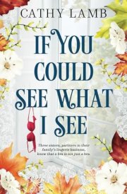 If You Could See What I See cover image