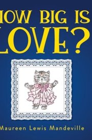 How Big Is Love? cover image