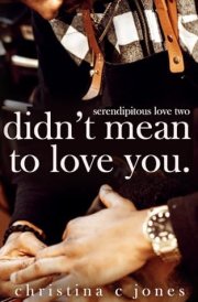 Didn't Mean To Love You cover image