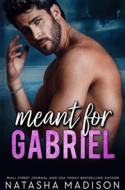 Meant For Gabriel cover image