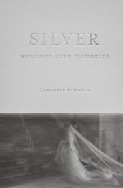 Silver Moments Into Memories cover image