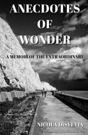 Anecdotes of Wonder: A Memoir of the Extraordinary cover image