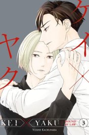 Kei X Yaku: Bound by Law 3 cover image