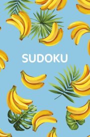 Sudoku Over 300 Puzzles cover image
