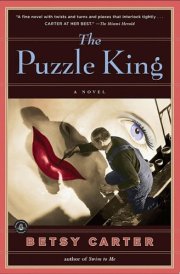 The Puzzle King A Novel cover image