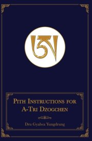 Pith Instructions for A-Tri Dzogchen (Revised Edition) The Pith Instructions for the Stages of the Practice Sessions of the A-Tri System of Bon Dzogchen Meditation cover image