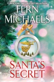 Santa's Secret cover image