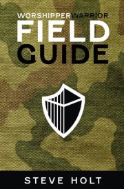 WORSHIPPER WARRIOR - Field Guide: A 21-DAY JOURNEY INTO THE DANGEROUS LIFE OF DAVID cover image