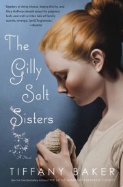 The Gilly Salt Sisters A Novel cover image