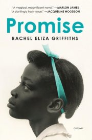 Promise A Novel cover image