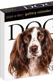 Dog Page-A-Day® Gallery Calendar 2025: An Elegant Canine Celebration cover image