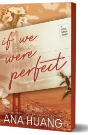 If We Were Perfect cover image