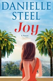 Joy A Novel cover image