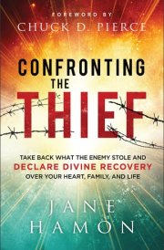 Confronting the Thief Take Back What the Enemy Stole and Declare Divine Recovery over Your Heart, Family, and Life cover image