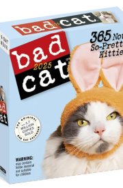 Bad Cat Page-A-Day® Calendar 2025: 365 Not-So-Pretty Kitties cover image