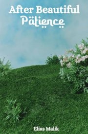 After Beautiful Patience Inspirational Islamic Reminders, Poems, and Reflections cover image