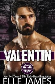 Valentin cover image
