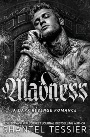 Madness cover image