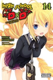 High School DxD, Vol. 14 (light Novel) Mages of Career Counselling cover image