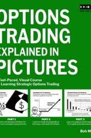 Options Trading Explained in Pictures: A Fast-Paced, Visual Course for Learning Strategic Options Trading cover image
