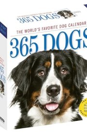 365 Dogs Page-A-Day® Calendar 2025: The World's Favorite Dog Calendar cover image