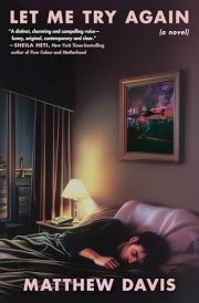 Let Me Try Again A Novel cover image