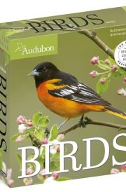 Audubon Birds Page-A-Day® Calendar 2025: The World's Favorite Bird Calendar cover image