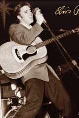 2025 Elvis Presley Wall Calendar cover image