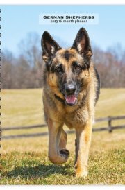 German Shepherds | 2025 6 x 7.75 Inch Spiral-Bound Wire-O Weekly Engagement Planner Calendar | New Full-Color Image Every Week | BrownTrout | Animals Dog Breeds Pets cover image