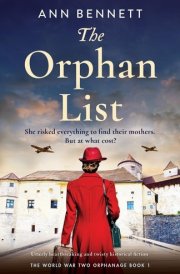 The Orphan List Utterly Heartbreaking and Twisty Historical Fiction cover image