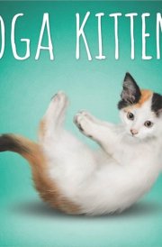 Yoga Kittens OFFICIAL | 2025 12 x 24 Inch Monthly Square Wall Calendar | Plato | Animals Humor Cats Feline cover image
