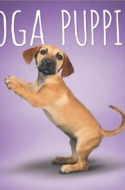 Yoga Puppies OFFICIAL | 2025 12 x 24 Inch Monthly Square Wall Calendar | Plato | Animals Humor Puppy Dogs Canine cover image