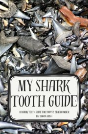 My Shark Tooth Guide: A Shark Tooth Guide for Today’s Beachcomber cover image