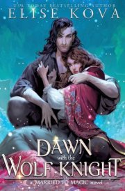 A Dawn with the Wolf Knight cover image