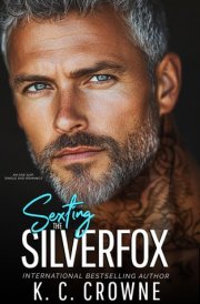Sexting the Silverfox: An Age Gap, Single Dad Romance (Silver Fox Daddies) cover image