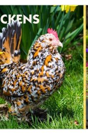 Chickens 2025 6 X 5 Inch Daily Desktop Box Calendar New Page Every Day cover image