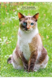 Cat Lovers | 2025 6 x 7.75 Inch Spiral-Bound Wire-O Weekly Engagement Planner Calendar | New Full-Color Image Every Week | BrownTrout | Animals Domestic Kittens Feline cover image