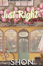 Just Right cover image