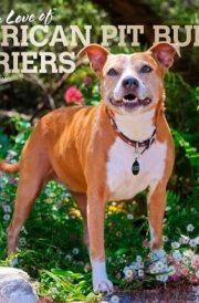 For the Love of American Pit Bull Terriers | 2025 14 x 24 Inch Monthly Deluxe Wall Calendar | Foil Stamped Cover | Plastic-Free | BrownTrout | Animal Dog Breeds cover image