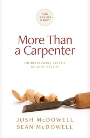 More Than a Carpenter cover image